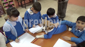 学校で授業を受ける保護犬