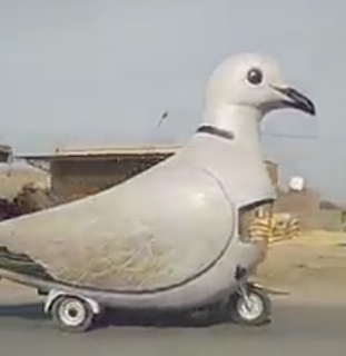 巨大な鳥の形をした謎の車