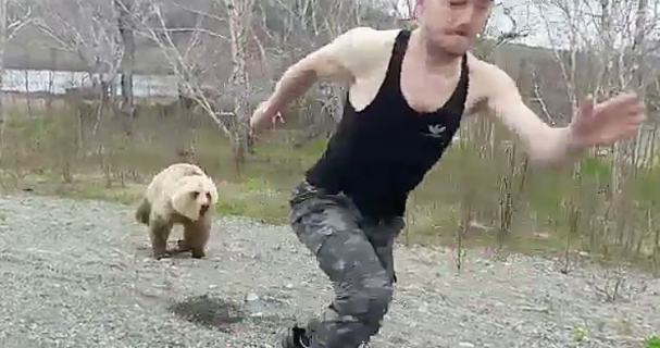 熊に背中を見せては行けない理由