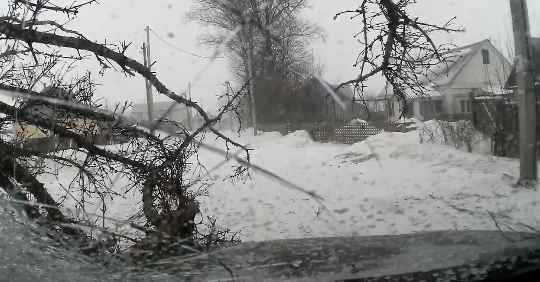 雪道で突然倒れてくる木