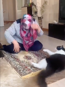お祈り中の女性を邪魔する猫