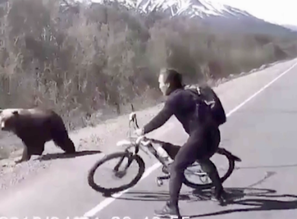 自転車を襲う熊を撃退