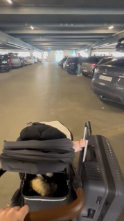 スーツケースを持ってくれる赤ちゃん