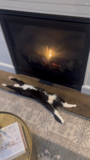 暖炉の横で全力で眠る猫