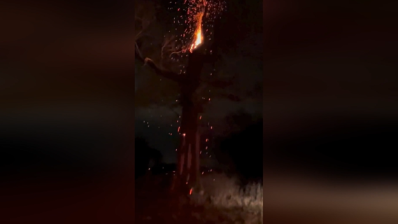 火花を撒き散らす燃える木