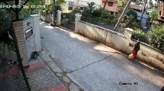 車にはねられてフェンスに宙吊りに