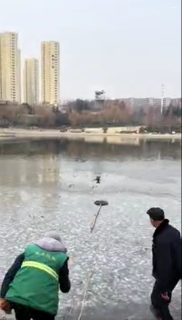 網を使って凍った湖から犬を救出