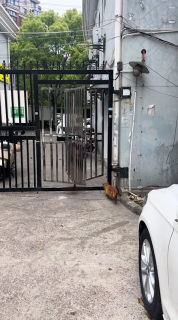 完全に見切った猫
