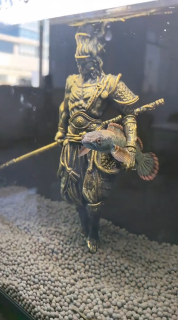 像の脇の下におさまる魚