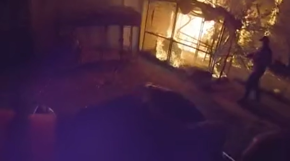 燃える犬小屋から犬を救出