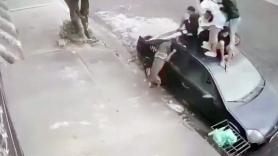 子供たちが車に乗っていたずら？と思ったら犬に追われてた