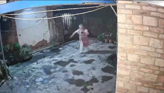 撮影していたら門を突き破ってきたゾウ