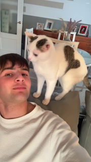 一緒に撮影していただけで猫に襲われる飼い主