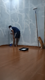 ペイントローラーを倒してあとは知らんぷりの猫