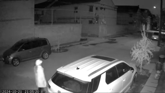 防犯カメラから突如姿を消した女性