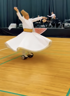 綺麗だけど何だかずるいダンス
