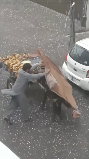 商品よりもロバを先に雹から守る男