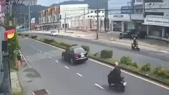 牛の飛び出しに注意