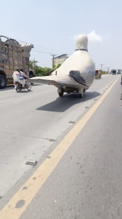 巨大な鳥型カー