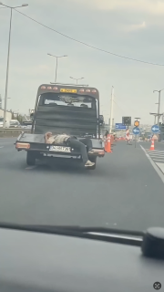 走行中の車の後部で寝る強者