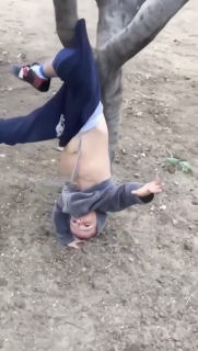 木に引っかかって降りれなくなった子供