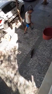 猫専用エレベーター