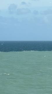 きれいに2色に分かれている海