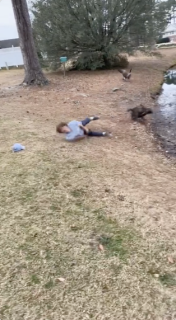 犬に引きづられて濁った池に落ちる人