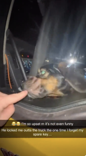 犬がトラックを車内から施錠するもなんとかセーフ