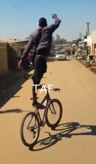 脅威の自転車バランス芸