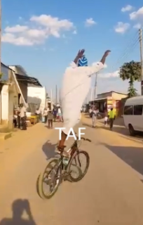 脅威の自転車バランス芸Bike Stunt 3