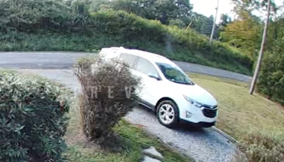 道路を歩く白い影