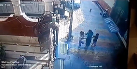 怖すぎ！サルの群れに襲われる一家