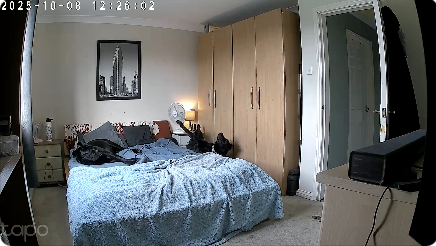 犬も寝たらベッドから落ちる