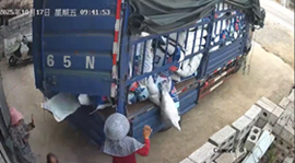 勢いよく開いたトラックのドアを間一髪で避ける