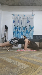 飼い主のズボンの中に潜り込む猫