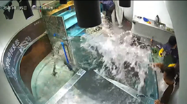 レストランの水槽が崩壊し店内が水浸しに