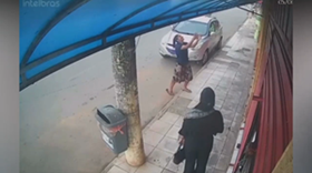 バルコニーから落下する犬を見事キャッチ