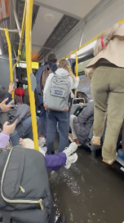 洪水でバスの中が水浸し