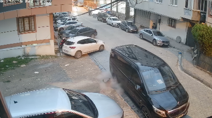 タイヤを破裂させる猫