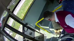 バスの運転手が負傷した野良犬を拾い病院に直行