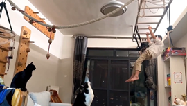 飼い主の真似をしてぶら下がる猫