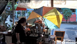 猫が二匹も降ってくるなんて