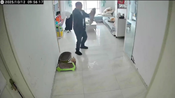 猫を高い高いしていて転倒する飼い主