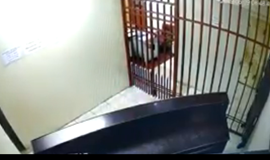 独房の鉄格子の間をすり抜ける細～い囚人