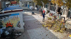 梯子が倒れてパニックになるが冷静になると…