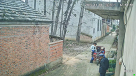 危うく木が直撃するところだった女性