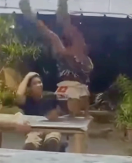 テーブルで倒立失敗