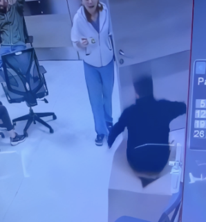 段ボールに座ろうとして失敗