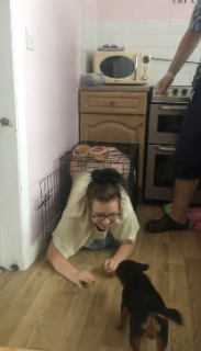 犬のケージから出られなくなった女性